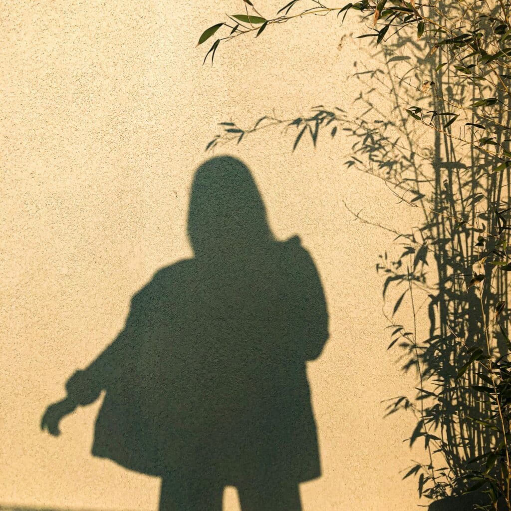 is shadow work legit